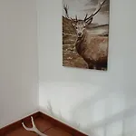 Galapero Feriehus