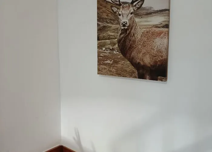 Galapero Сasa de vacaciones